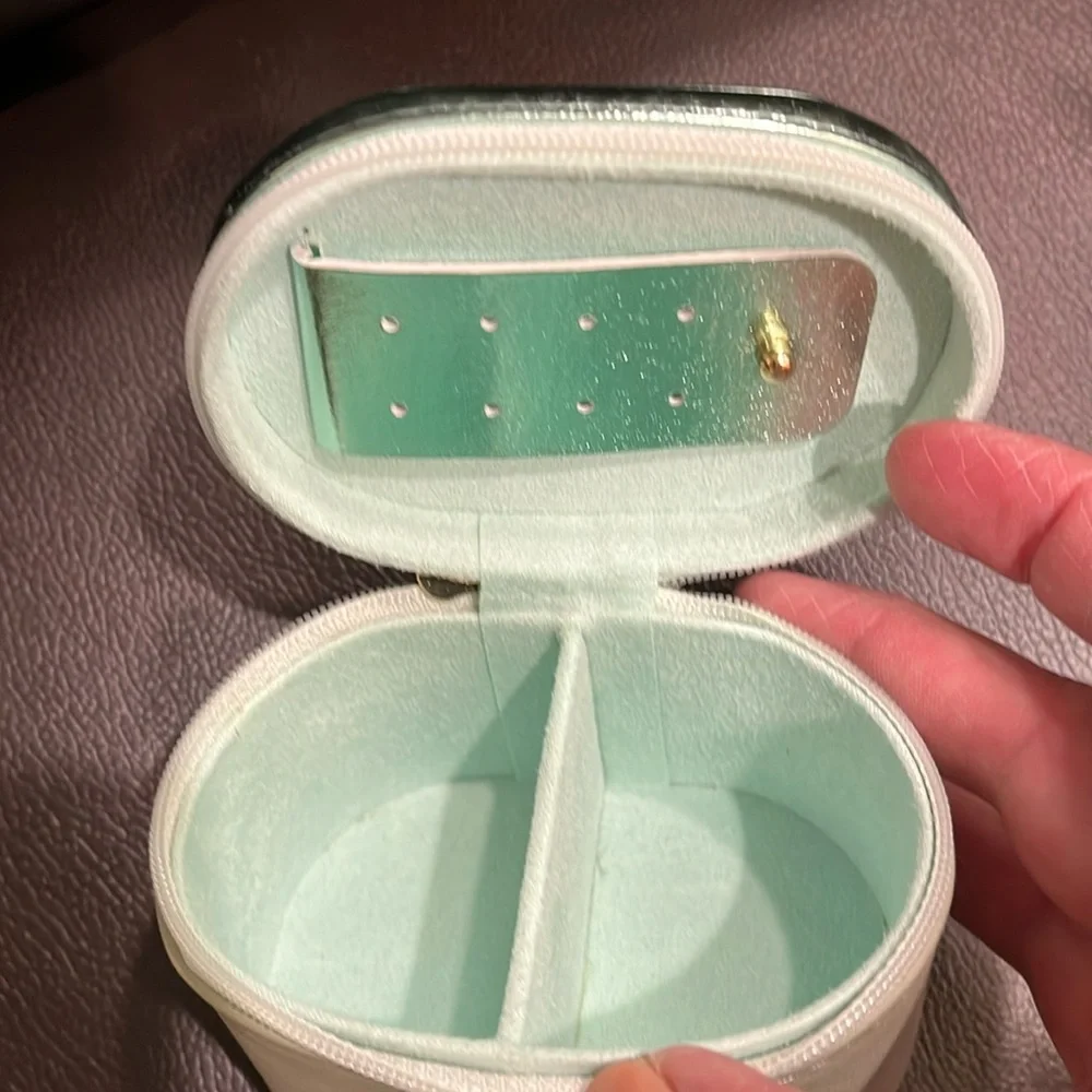 Mint Mini Travel Jewelry Case • Zip Organizer for Rings Earrings Necklace NWT